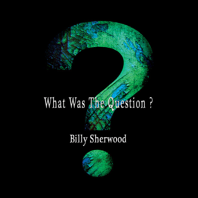What Was the Question? album cover