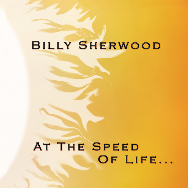 At the Speed of Life album cover