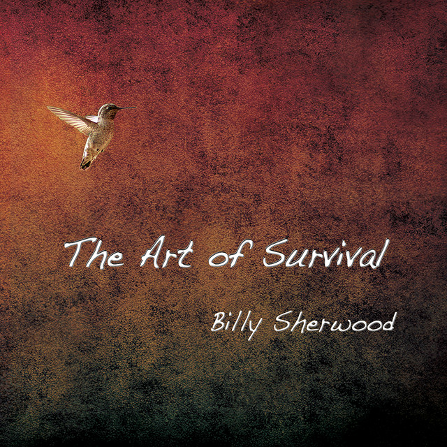 The Art of Survival album cover