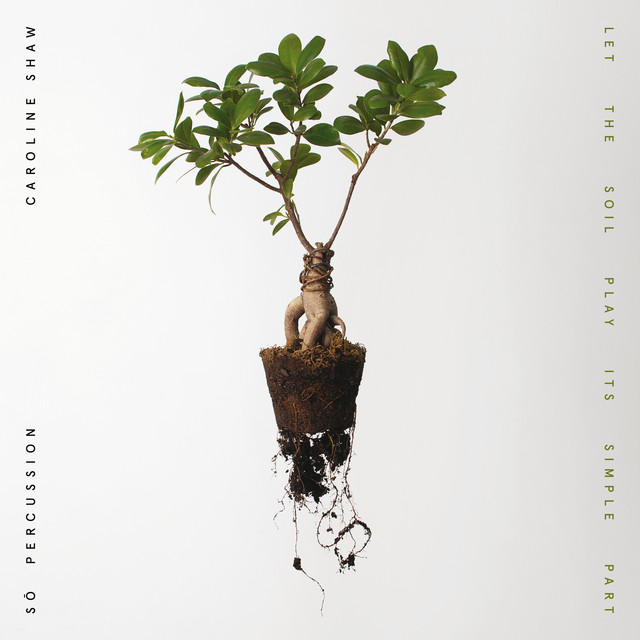 Let the Soil Play Its Simple Part album cover