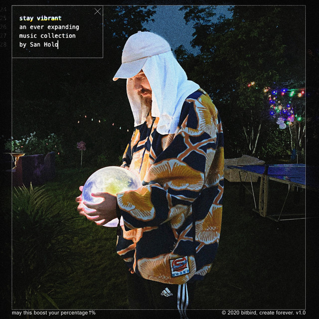 Stay Vibrant album cover