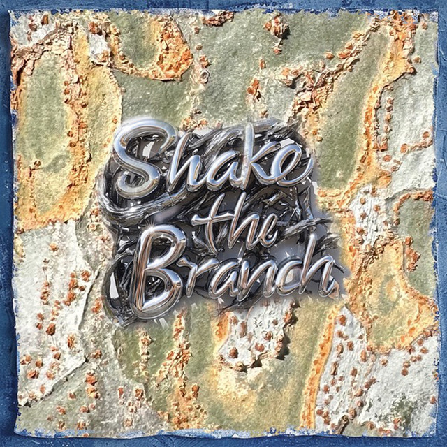 Shake the Branch album cover