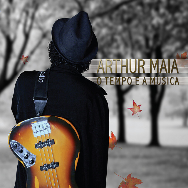O tempo e a música album cover