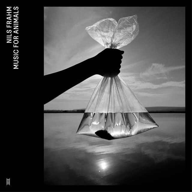 Glass Harmonica as heard on Music for Animals by Nils Frahm (2022)