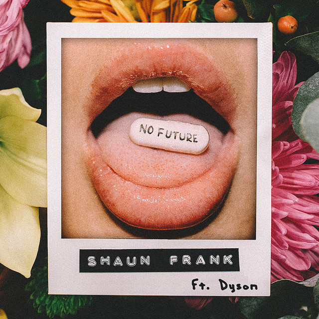 Native Instruments Maschine MKII as heard on No Future (feat. DYSON) by Shaun Frank (2017)