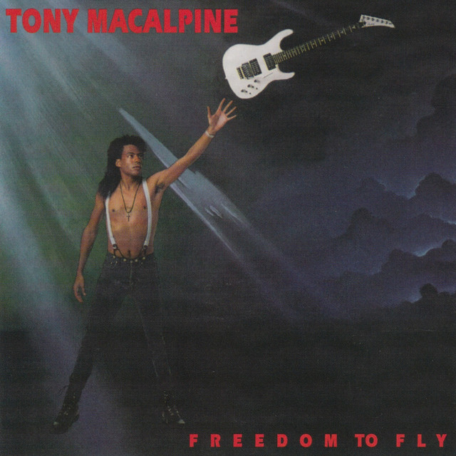 Freedom to Fly album cover