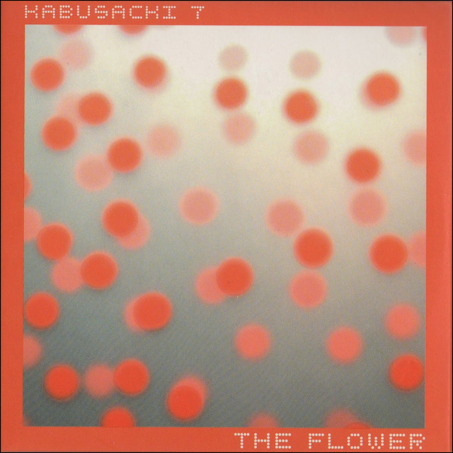 Kabusacki 7: The Flower album cover