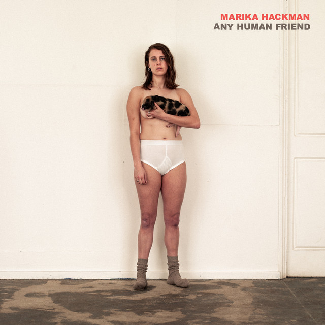 Any Human Friend album cover