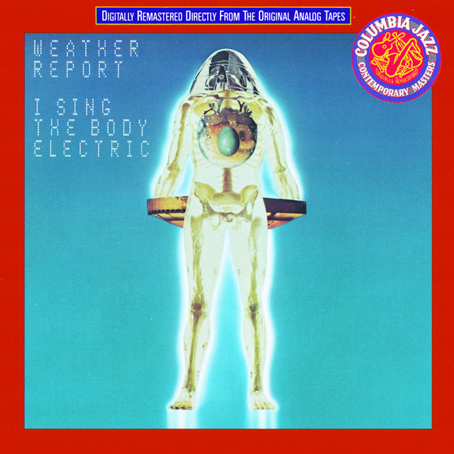 I Sing The Body Electric album cover