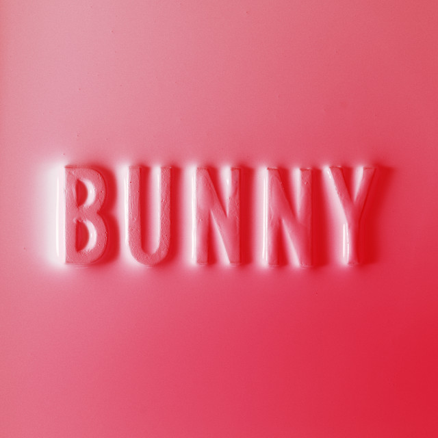 Bunny album cover