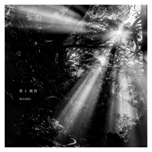 愛と調和 album cover