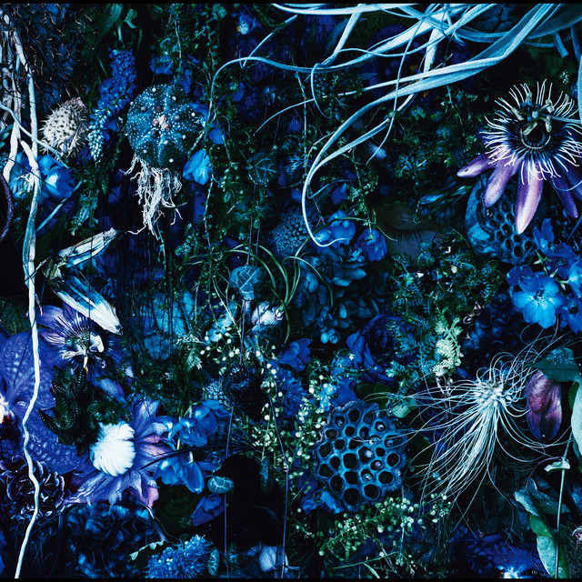 ONENESS M album cover