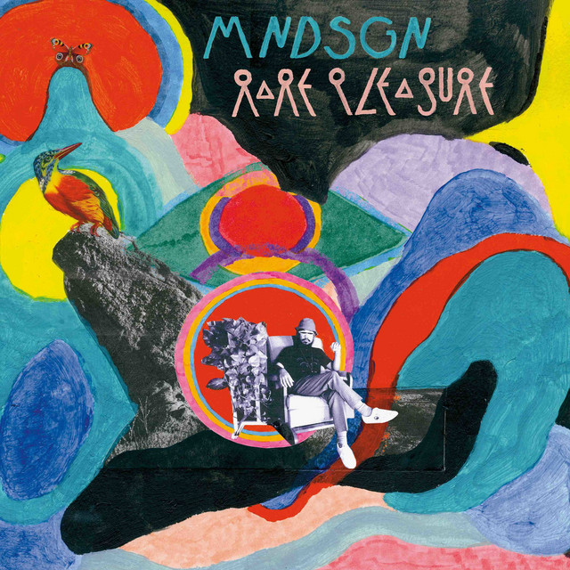 Rare Pleasure album cover