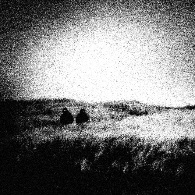 Head Void Tapes album cover