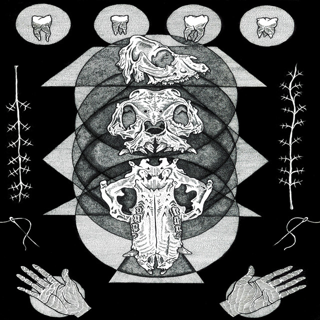 Never Did We Not Exist album cover