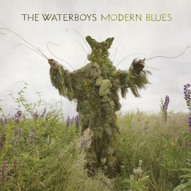 Fender Precision Bass as heard on Modern Blues by The Waterboys (2015)