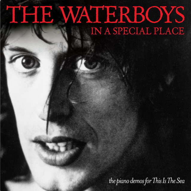 In a Special Place: The Piano Demos for This Is the Sea album cover