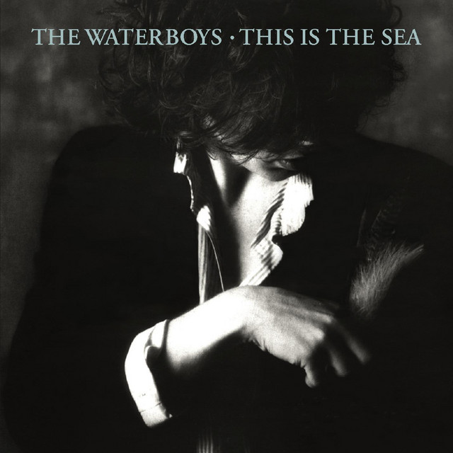 This Is the Sea (Deluxe Version) album cover