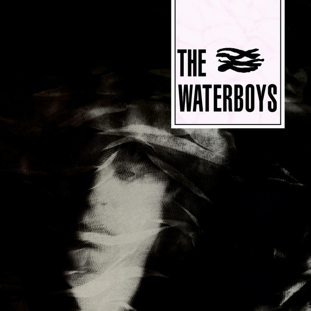 The Waterboys album cover