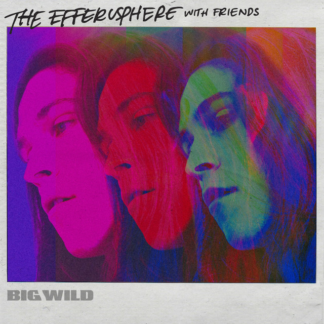 The Efferusphere With Friends album cover