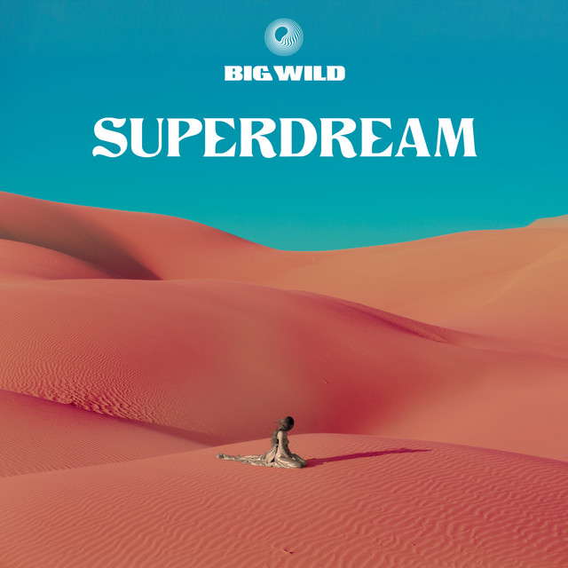 Fender Stratocaster Electric Guitar as heard on Superdream by Big Wild (2019)