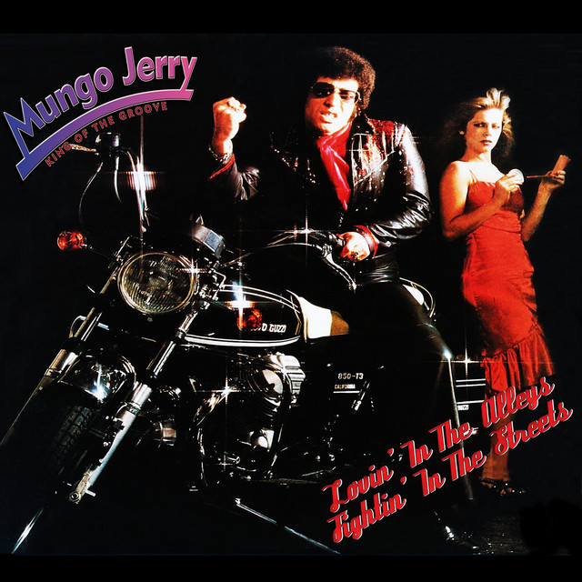 Lovin' in the Alleys Fightin' in the Streets album cover