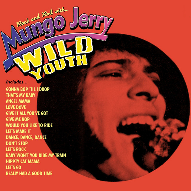 Wild Youth album cover