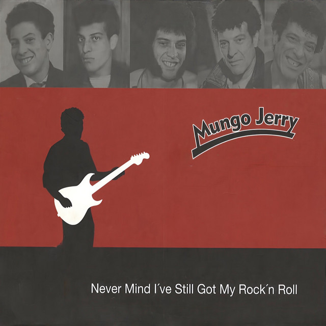 Never Mind I've Still Got My Rock'n Roll album cover