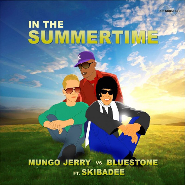 Fender Stratocaster Electric Guitar as heard on In The Summertime by Mungo Jerry (2010)
