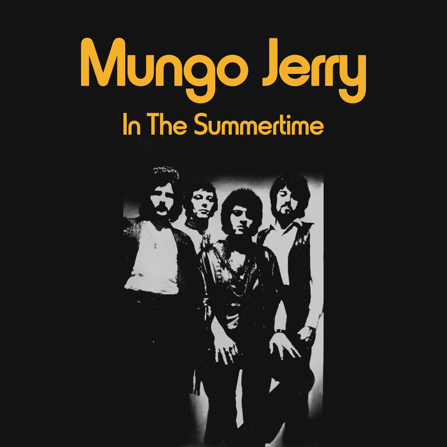 Fender Stratocaster Electric Guitar as heard on In the Summertime by Mungo Jerry (1970)