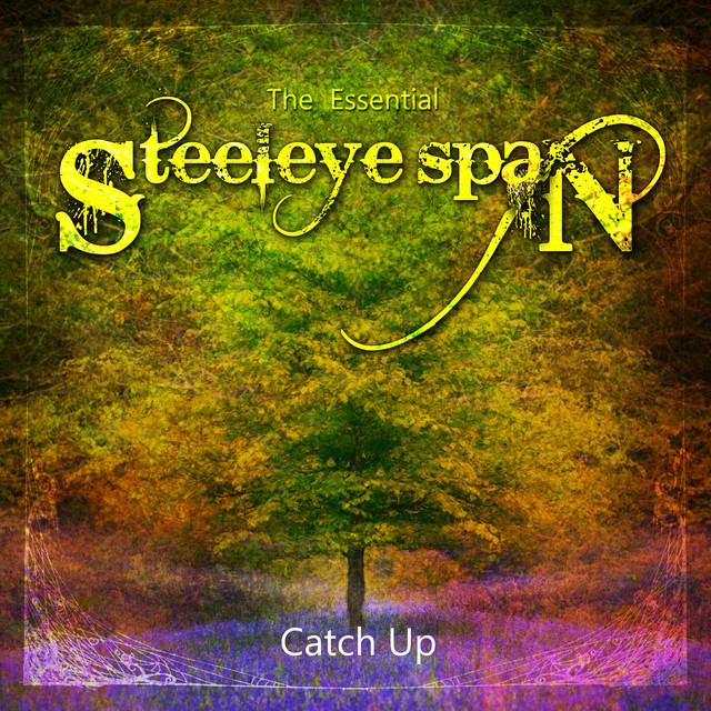 The Essential Steeleye Span: Catch Up album cover