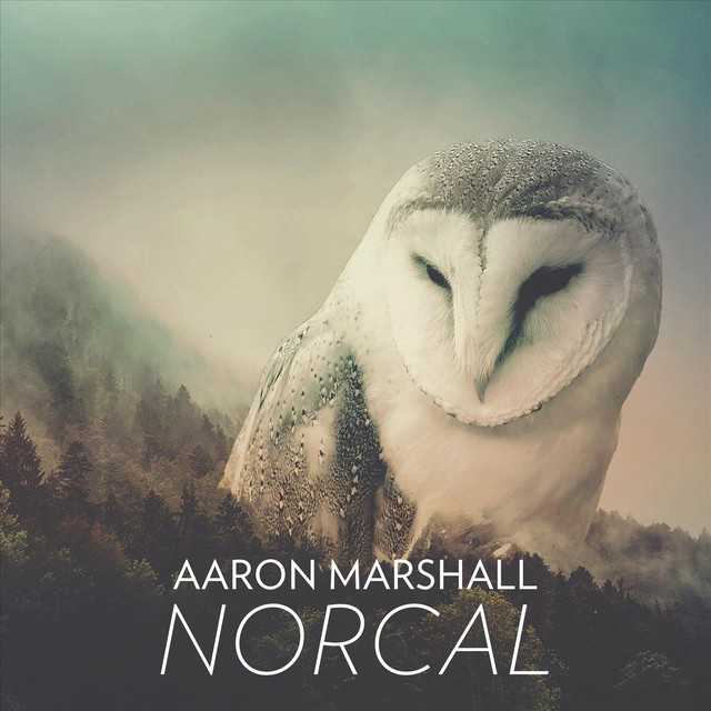 Norcal album cover