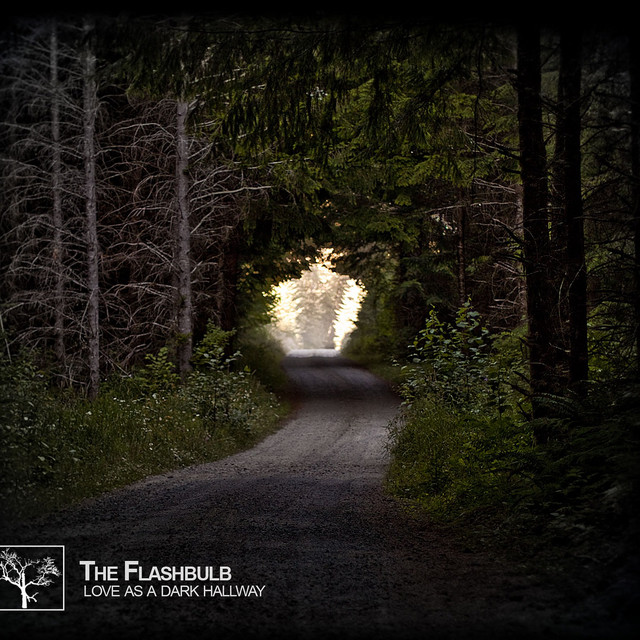 Love as a Dark Hallway album cover