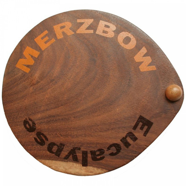 Roland RS-09 Organ Strings 09 MKII as heard on Eucalypse by Merzbow (2008)