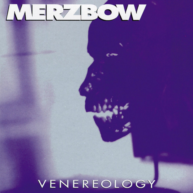 Star Instruments Synare 3 as heard on Venereology by Merzbow (1994)