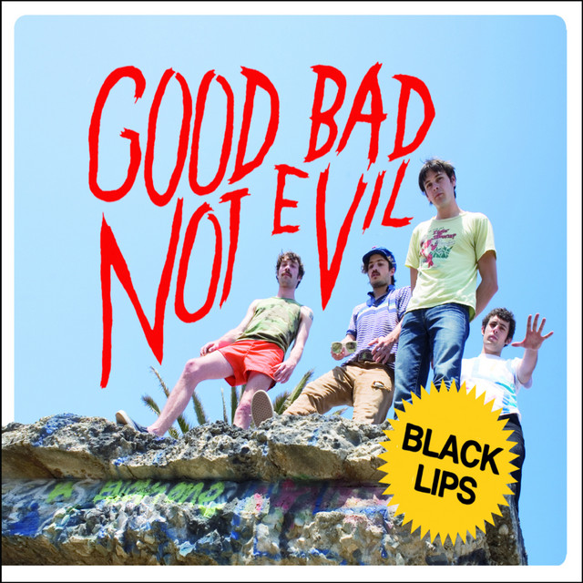 Fender Mexican Stratocaster as heard on Good Bad Not Evil by Black Lips (2007)