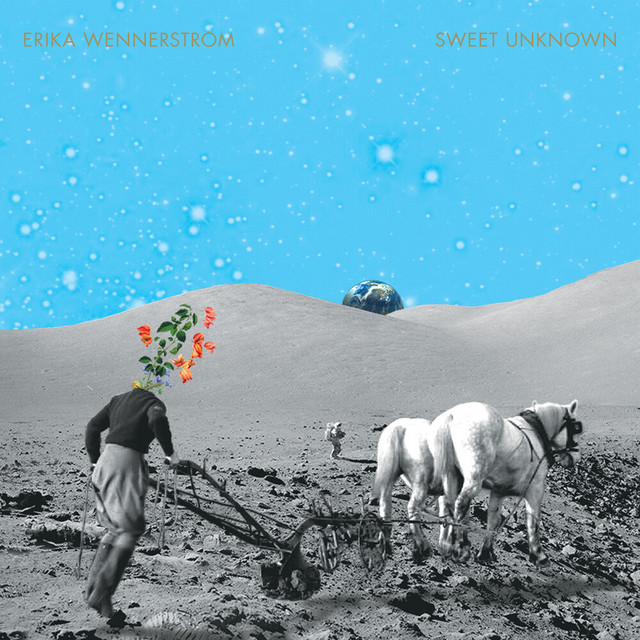 Sweet Unknown album cover