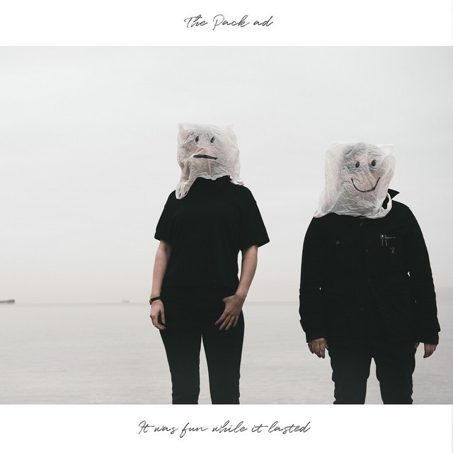 it was fun while it lasted album cover