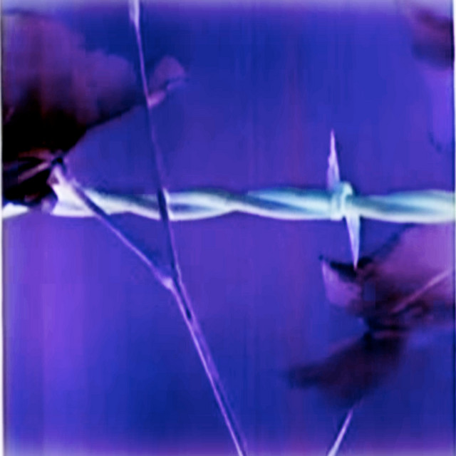 Muggy Vol.1 album cover