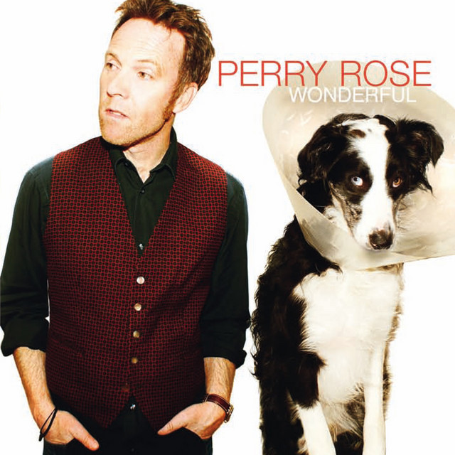 Wonderful album cover