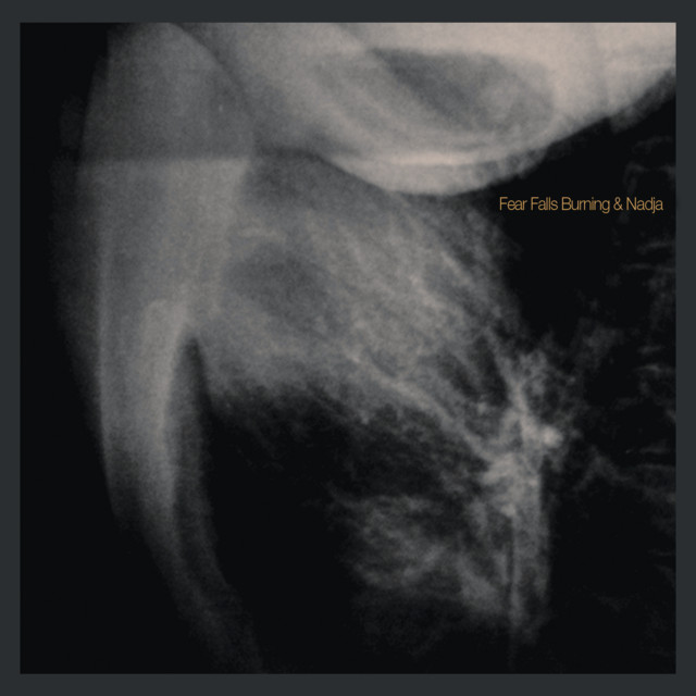 Fear Falls Burning / Nadja album cover