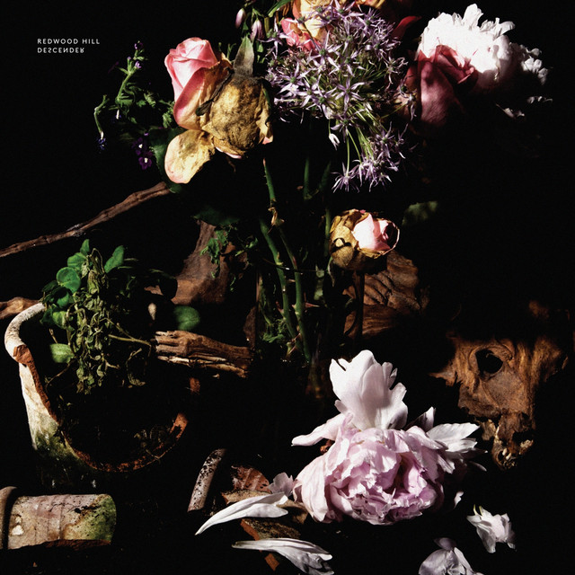 Descender album cover