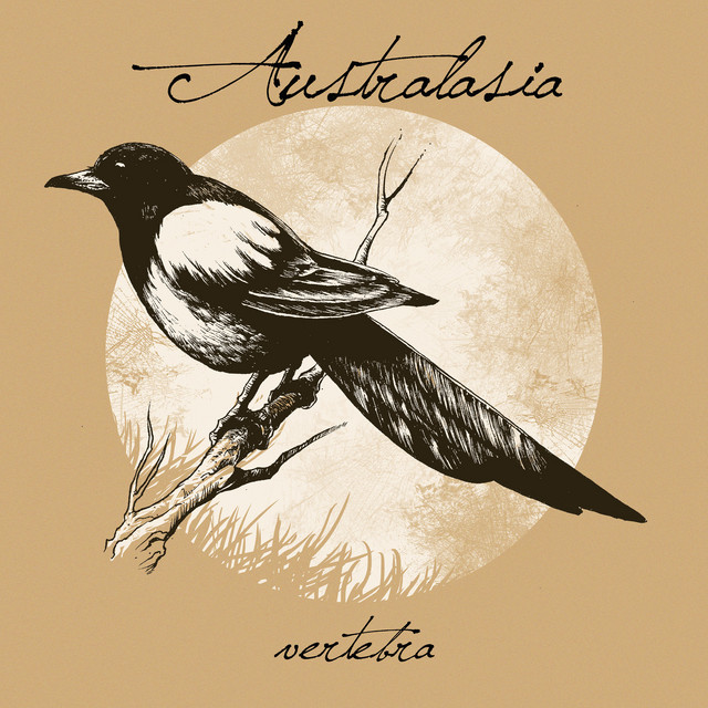 Vertebra album cover