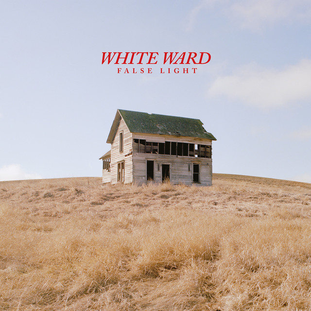 False Light album cover