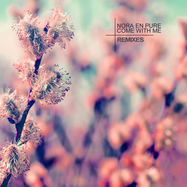 Come With Me (Remixes) album cover