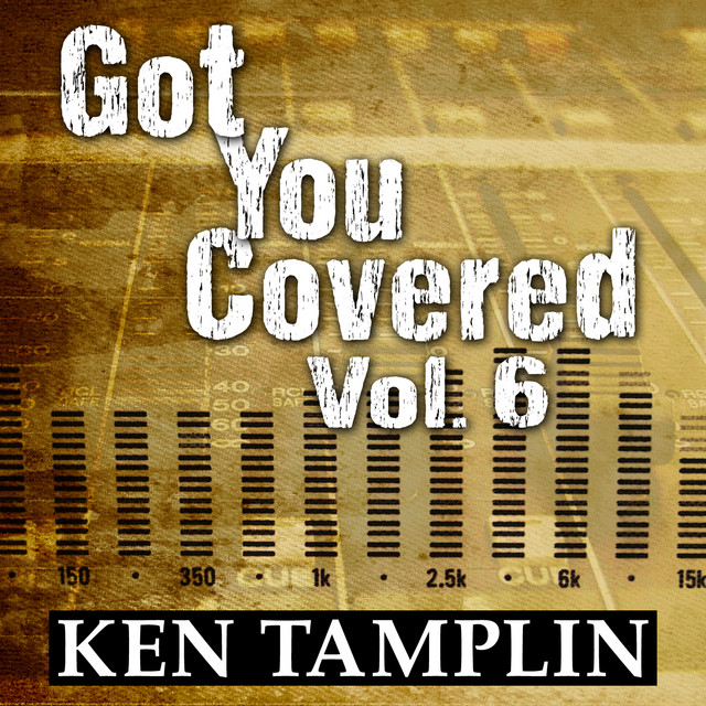 Got You Covered, Vol. 6 album cover