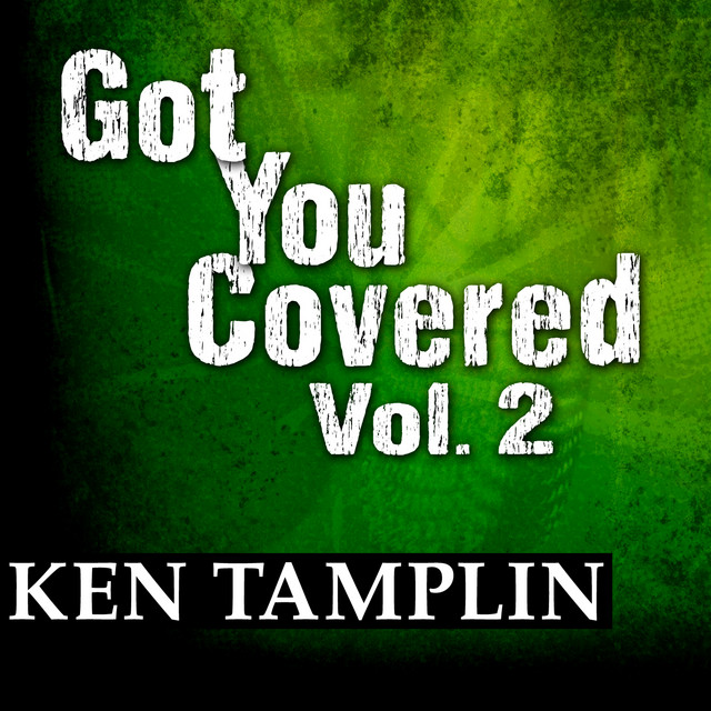 Got You Covered, Vol. 2 album cover
