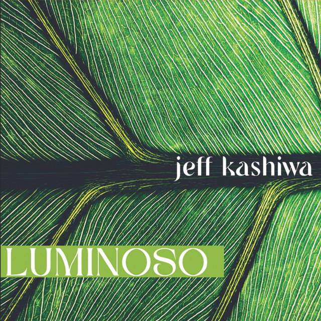Luminoso album cover
