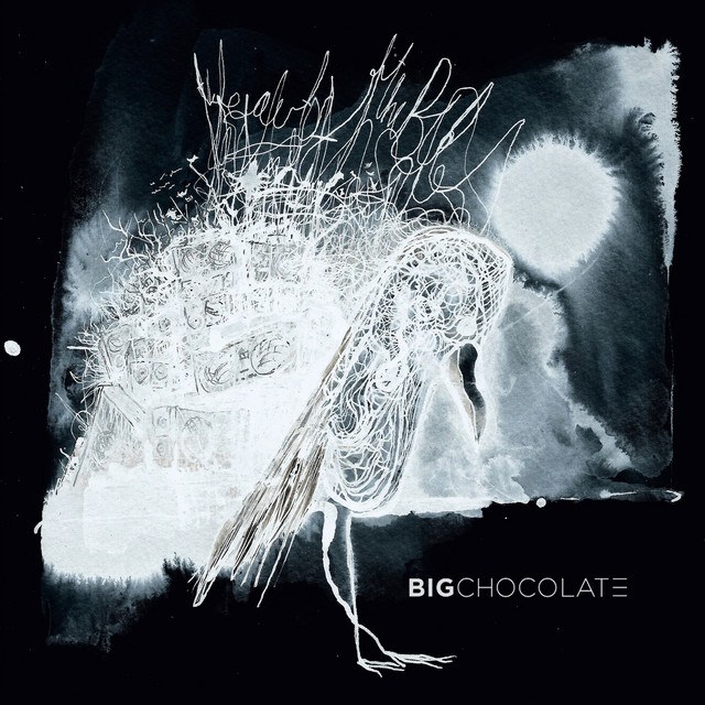 Beauty of the Bird album cover