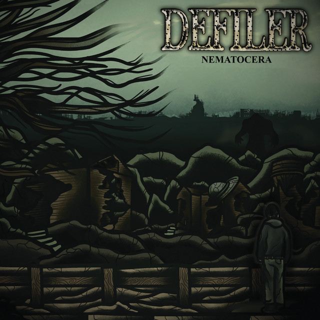 Nematocera album cover